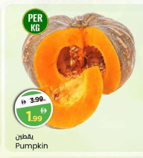 Pumpkin available at مارك & سيف in الإمارات العربية المتحدة , الامارات - أبو ظبي