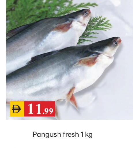 available at سوق طلال in الإمارات العربية المتحدة , الامارات - الشارقة / عجمان
