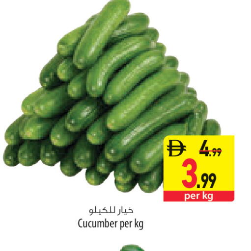 Cucumber available at السفير ماركت in الإمارات العربية المتحدة , الامارات - الشارقة / عجمان