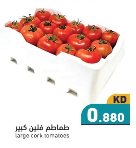 Tomato available at  رامز in الكويت - محافظة الجهراء