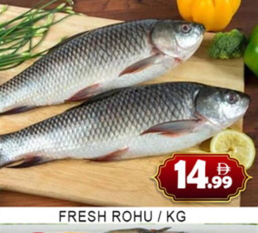 available at لكي سنتر in الإمارات العربية المتحدة , الامارات - الشارقة / عجمان