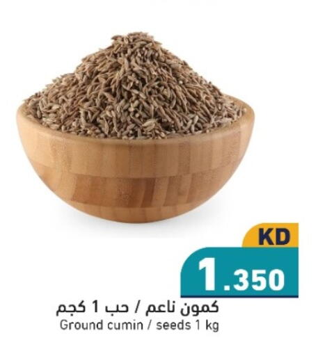 Cumin available at  رامز in الكويت - محافظة الجهراء