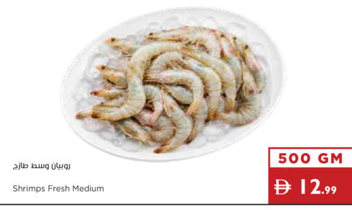 available at إسطنبول سوبرماركت in الإمارات العربية المتحدة , الامارات - أبو ظبي