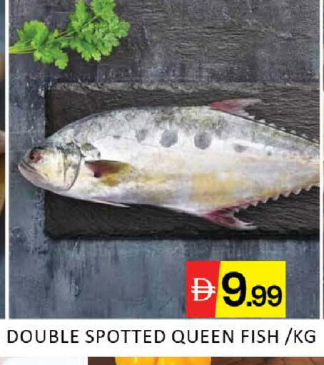 Mango available at Mango Hypermarket LLC in UAE - Dubai