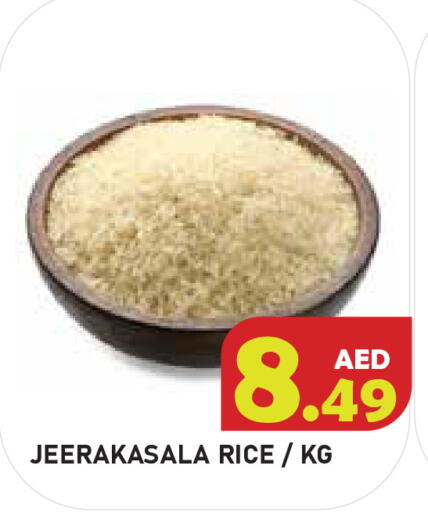 available at سنابل بني ياس in الإمارات العربية المتحدة , الامارات - أبو ظبي