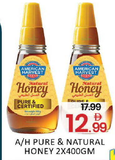 Mango available at Mango Hypermarket LLC in UAE - Dubai