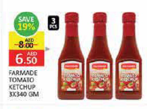 Mango Tomato available at Mango Hypermarket LLC in UAE - Dubai