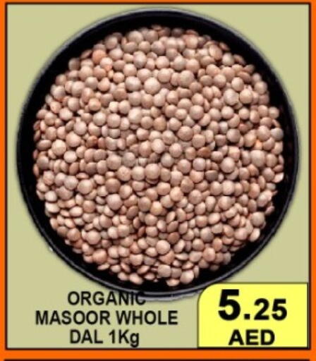 available at جرين جيفت متجر أقسام in الإمارات العربية المتحدة , الامارات - دبي
