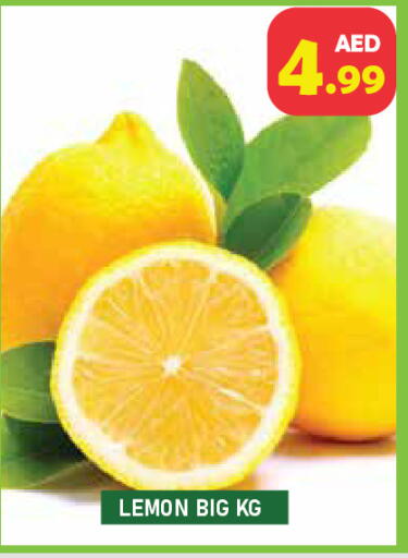 Lemon available at سنابل بني ياس in الإمارات العربية المتحدة , الامارات - رَأْس ٱلْخَيْمَة