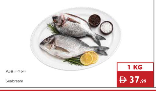available at إسطنبول سوبرماركت in الإمارات العربية المتحدة , الامارات - أبو ظبي