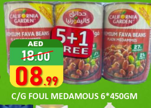 available at رويال جلف هايبرماركت in الإمارات العربية المتحدة , الامارات - أبو ظبي
