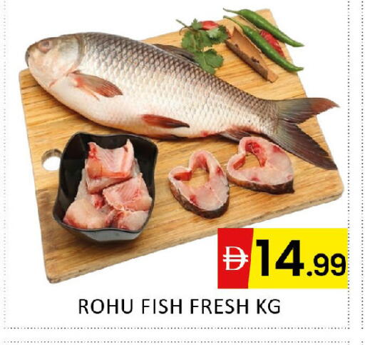 available at Al Madina  in UAE - Dubai