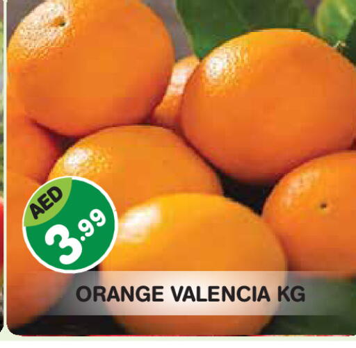 Orange available at سنابل بني ياس in الإمارات العربية المتحدة , الامارات - أبو ظبي