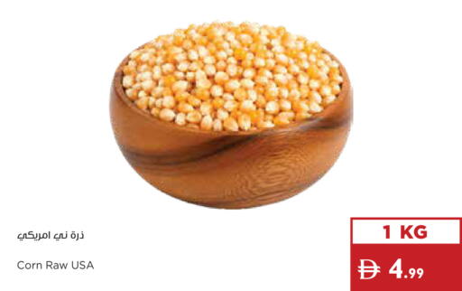 available at إسطنبول سوبرماركت in الإمارات العربية المتحدة , الامارات - أبو ظبي
