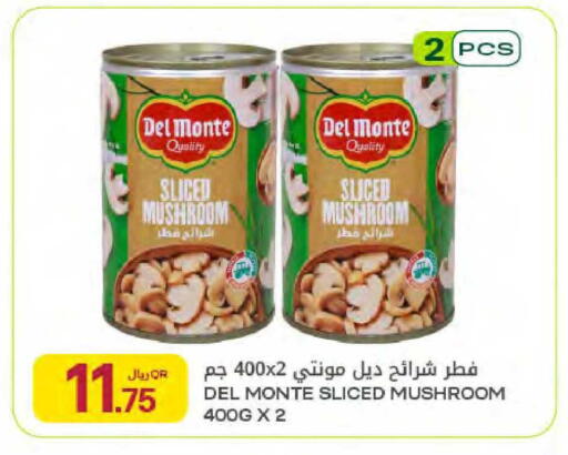 Mushroom available at شركة الميرة للمواد الاستهلاكية in قطر - الدوحة