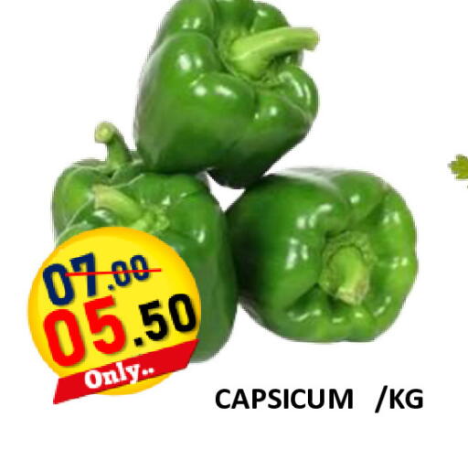 Capsicum available at رويال جلف هايبرماركت in الإمارات العربية المتحدة , الامارات - أبو ظبي