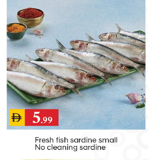 available at سوق طلال in الإمارات العربية المتحدة , الامارات - الشارقة / عجمان