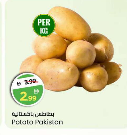 Potato from Pakistan available at مارك & سيف in الإمارات العربية المتحدة , الامارات - أبو ظبي