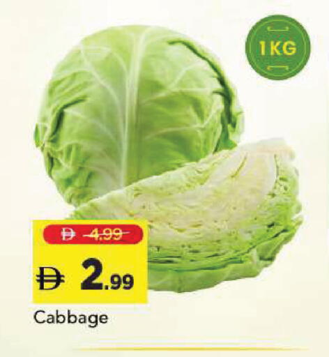 Cabbage available at Mark & Save in UAE - Sharjah / Ajman