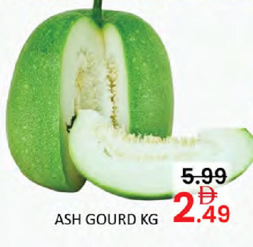 available at المدينة in الإمارات العربية المتحدة , الامارات - أبو ظبي