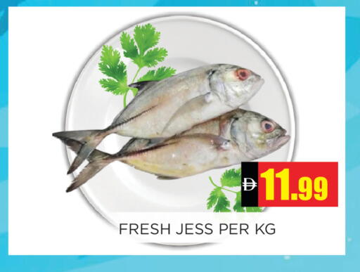 available at اينس المدينة هايبرماركت in الإمارات العربية المتحدة , الامارات - الشارقة / عجمان