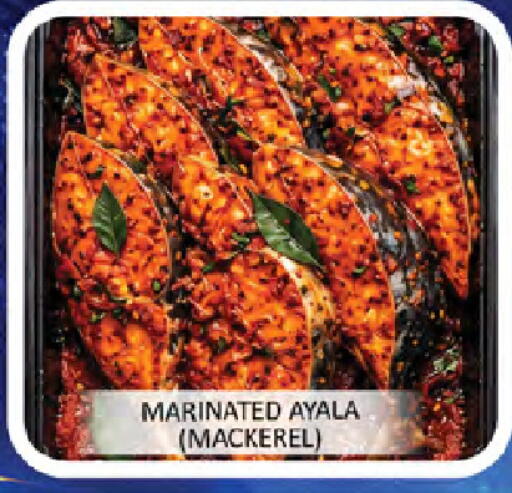 available at المدينة in الإمارات العربية المتحدة , الامارات - رَأْس ٱلْخَيْمَة