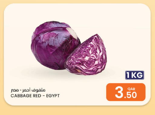 Cabbage from Egypt available at Al Baladi Al Yawm in Qatar - Al Daayen