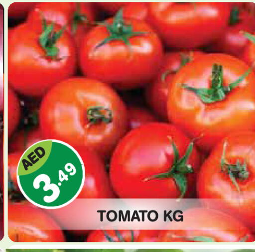 Tomato available at سنابل بني ياس in الإمارات العربية المتحدة , الامارات - أبو ظبي