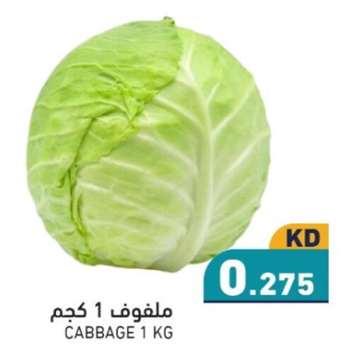 Cabbage available at  رامز in الكويت - محافظة الجهراء