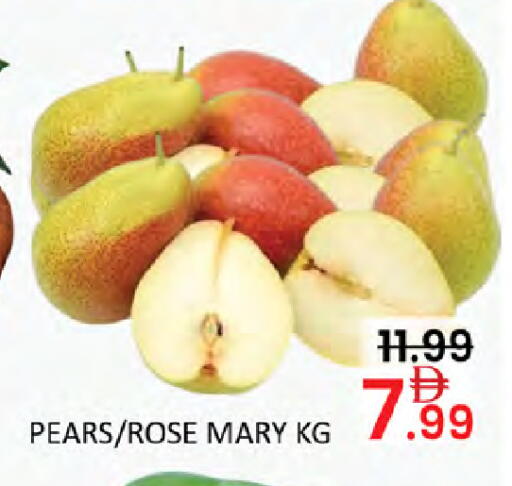available at المدينة in الإمارات العربية المتحدة , الامارات - أبو ظبي