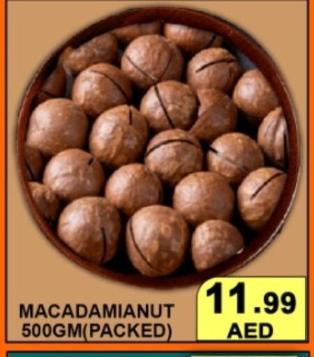 available at جرين جيفت متجر أقسام in الإمارات العربية المتحدة , الامارات - دبي