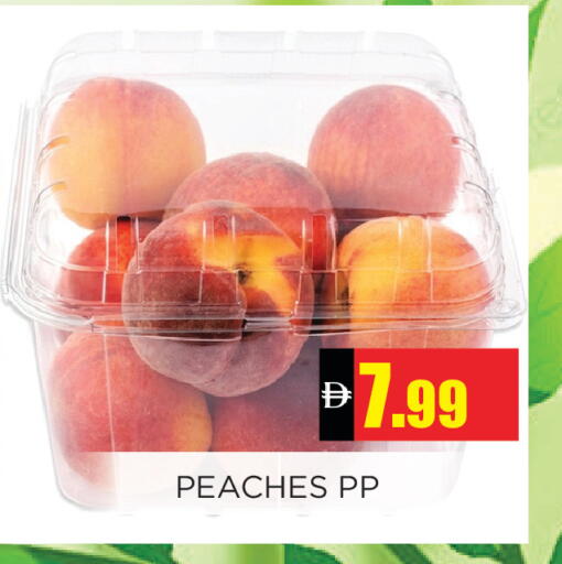 available at اينس المدينة هايبرماركت in الإمارات العربية المتحدة , الامارات - الشارقة / عجمان