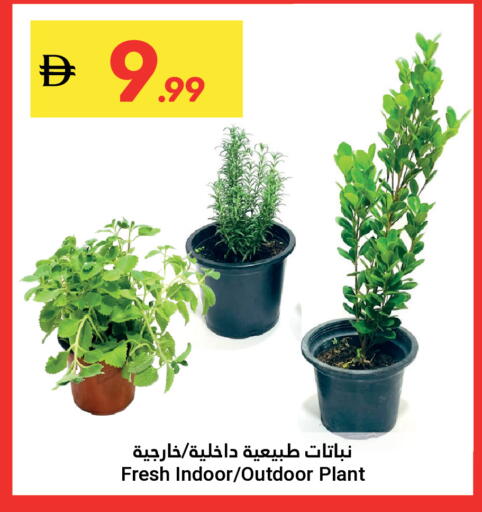 available at جراند الإمارات للتسوق in الإمارات العربية المتحدة , الامارات - أبو ظبي