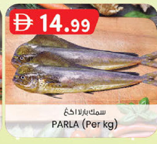 available at ك. الم. للتجارة in الإمارات العربية المتحدة , الامارات - الشارقة / عجمان