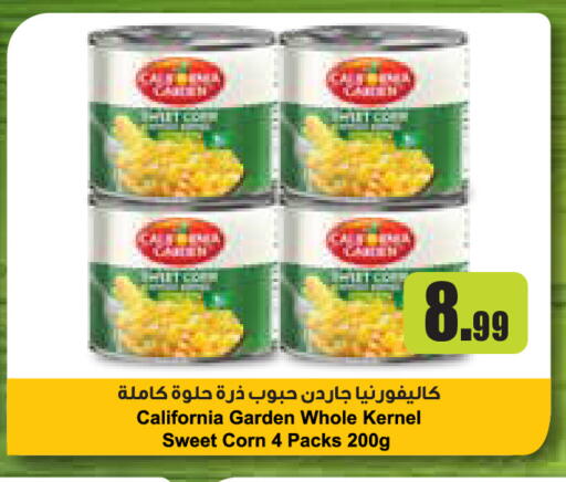 available at تروليز سوبرماركت in الإمارات العربية المتحدة , الامارات - الشارقة / عجمان