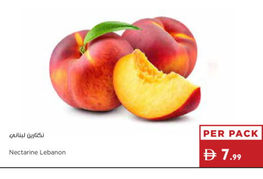 Nectarine from Lebanon available at إسطنبول سوبرماركت in الإمارات العربية المتحدة , الامارات - أبو ظبي