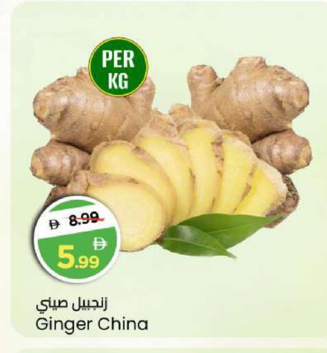 Ginger from China available at مارك & سيف in الإمارات العربية المتحدة , الامارات - أبو ظبي