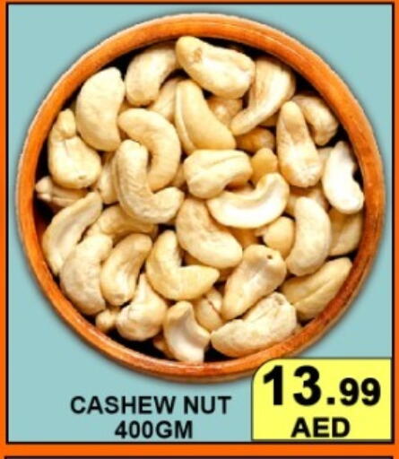 available at جرين جيفت متجر أقسام in الإمارات العربية المتحدة , الامارات - دبي