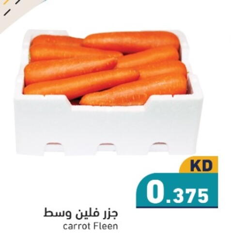 Carrot available at  رامز in الكويت - محافظة الجهراء