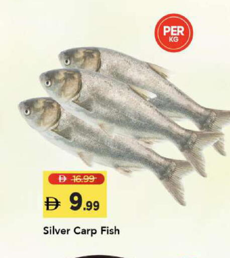 available at مارك & سيف in الإمارات العربية المتحدة , الامارات - أبو ظبي