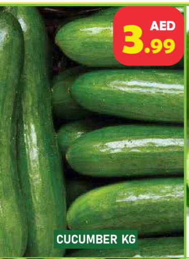 Cucumber available at سنابل بني ياس in الإمارات العربية المتحدة , الامارات - أبو ظبي