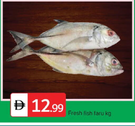 available at سوق طلال in الإمارات العربية المتحدة , الامارات - الشارقة / عجمان