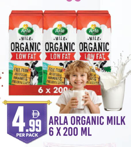 available at دريم لاند in الإمارات العربية المتحدة , الامارات - دبي