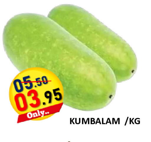 available at رويال جلف هايبرماركت in الإمارات العربية المتحدة , الامارات - أبو ظبي