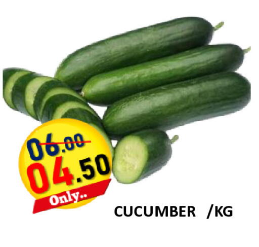 Cucumber available at رويال جلف هايبرماركت in الإمارات العربية المتحدة , الامارات - أبو ظبي