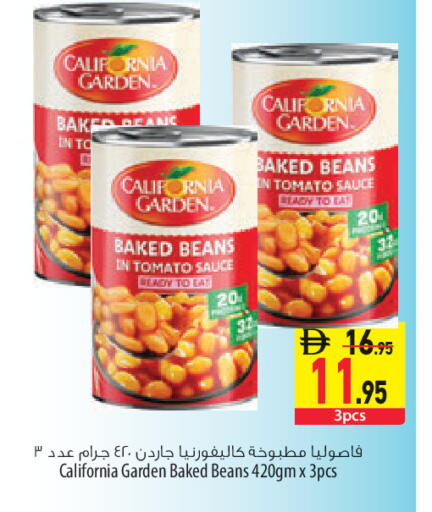 Tomato available at السفير ماركت in الإمارات العربية المتحدة , الامارات - أبو ظبي