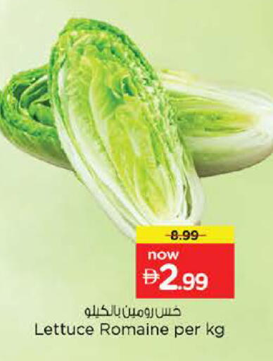 Lettuce available at نستو هايبرماركت in الإمارات العربية المتحدة , الامارات - الشارقة / عجمان