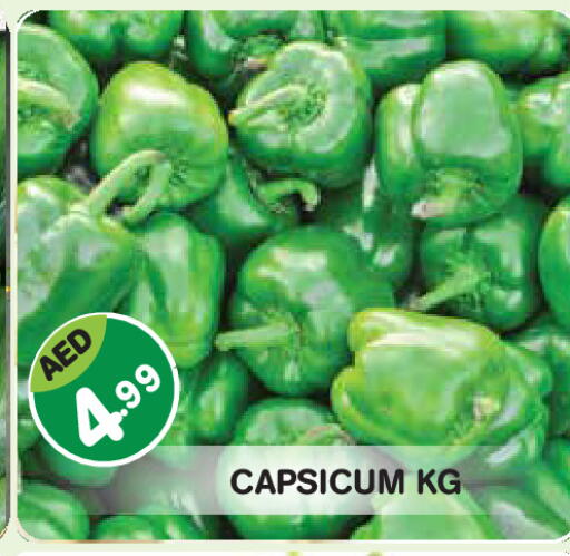 Capsicum available at سنابل بني ياس in الإمارات العربية المتحدة , الامارات - أبو ظبي
