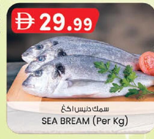 available at ك. الم. للتجارة in الإمارات العربية المتحدة , الامارات - الشارقة / عجمان