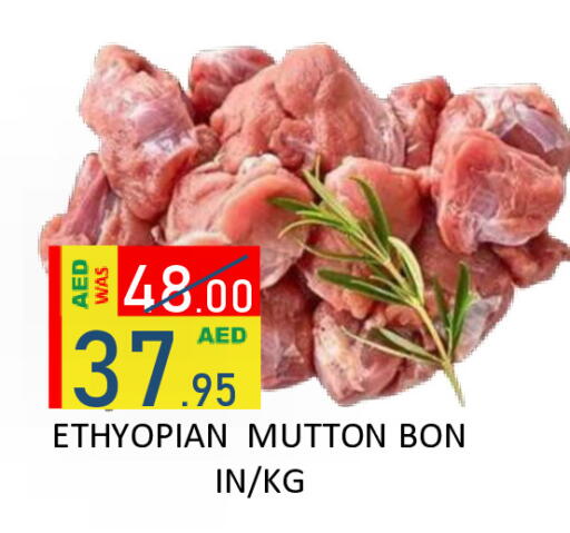 available at ROYAL GULF HYPERMARKET LLC in UAE - Abu Dhabi